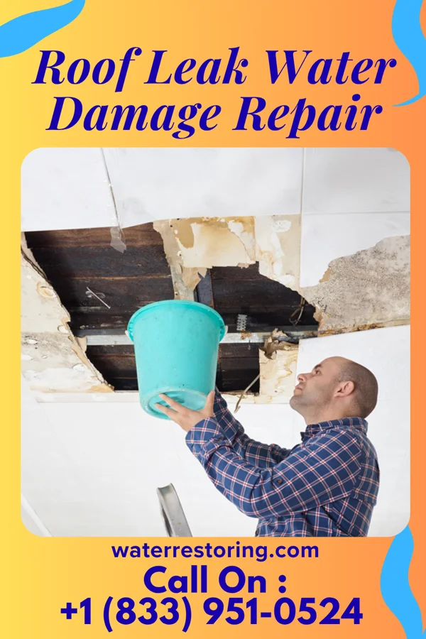 Roof Leak Water Damage Repair in Maryland Heights, MO
